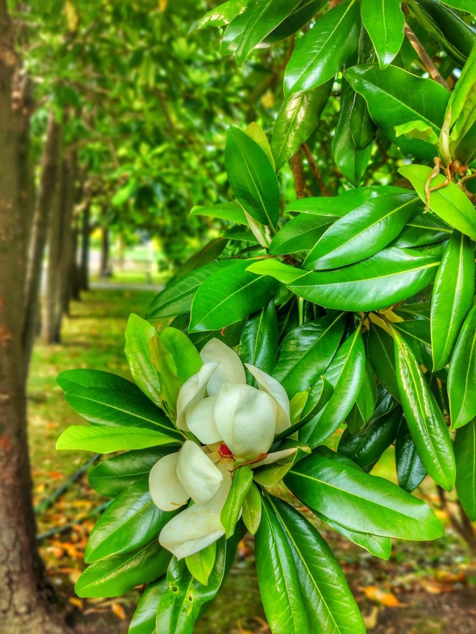 Фото Апартаменты Saltykov Agoy Resort