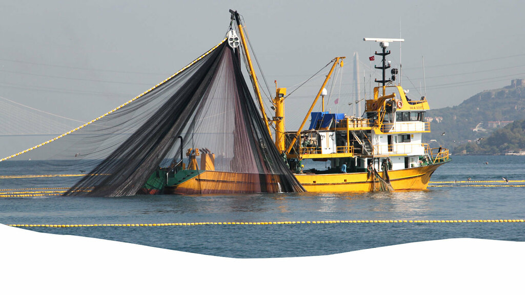 Foreign trade and foreign economic organizations İmex Gıda İç Ve Dış, Ortahisar, photo