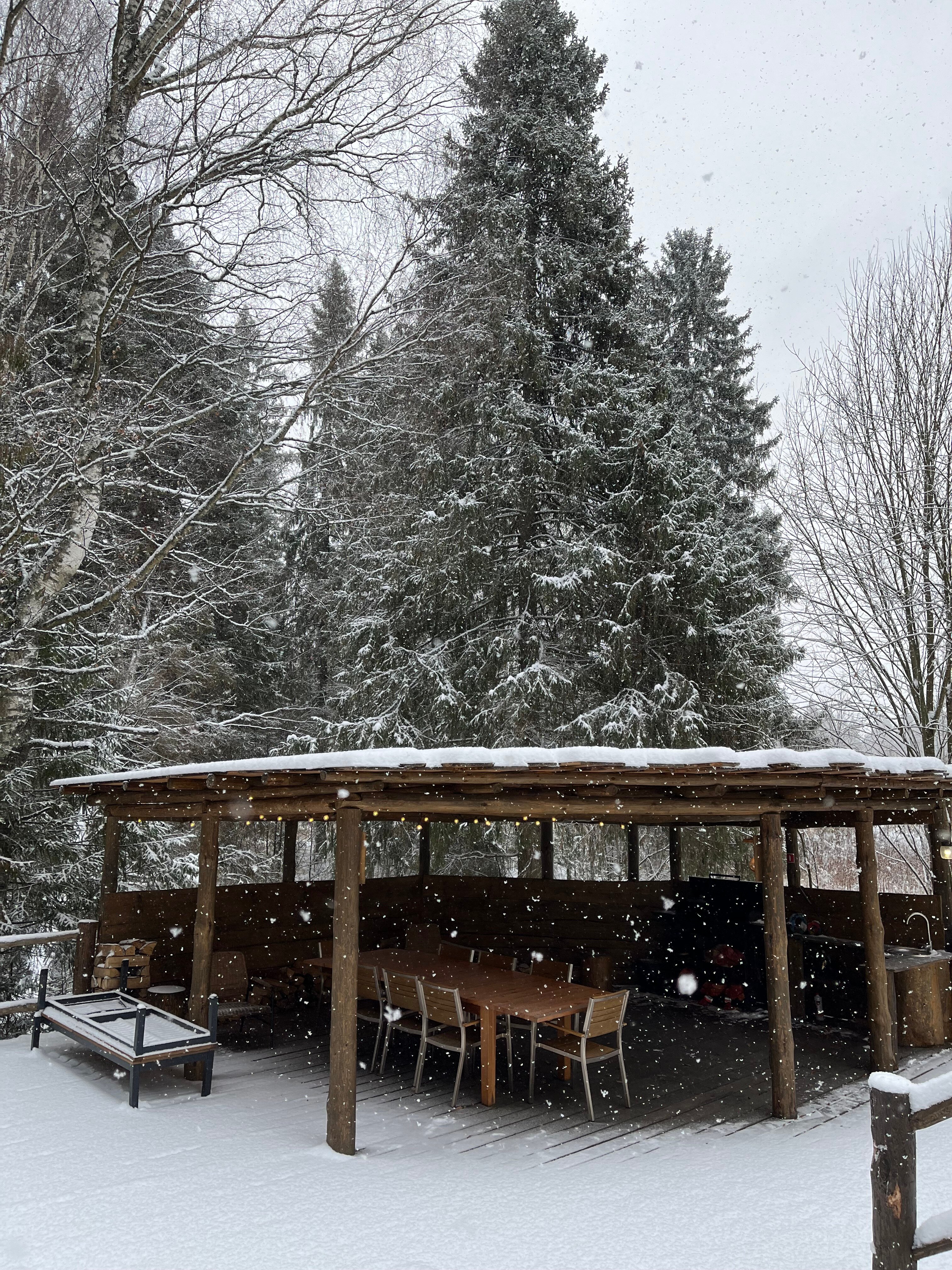 Фото Домики Иволги