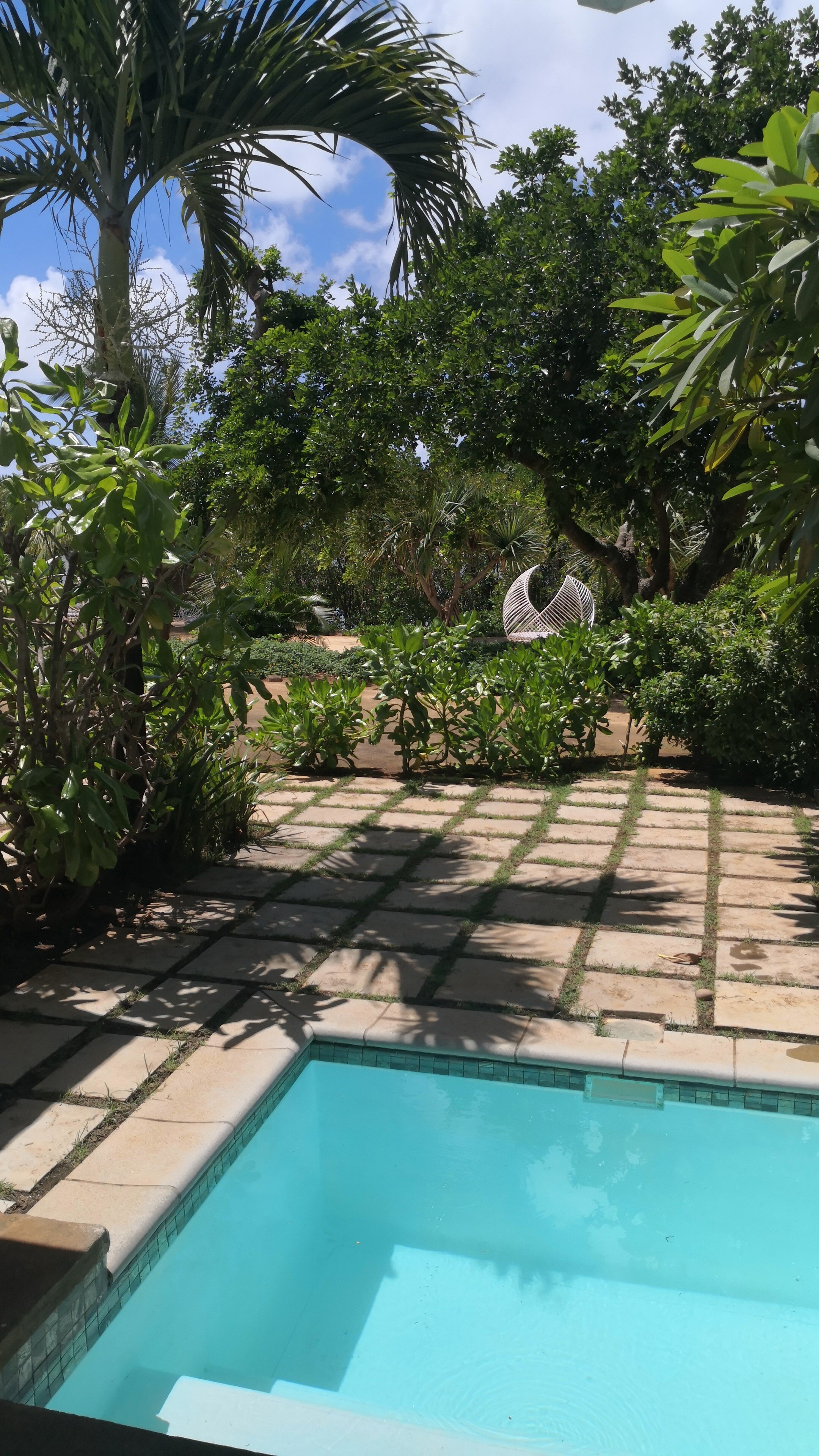 Фото The Westin Turtle Bay Resort & Spa Mauritius