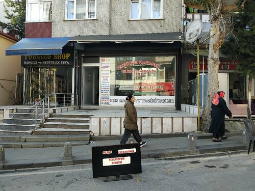 Yıldız Elektronik, ses ve video cihazlarının tamiri, İstanbul