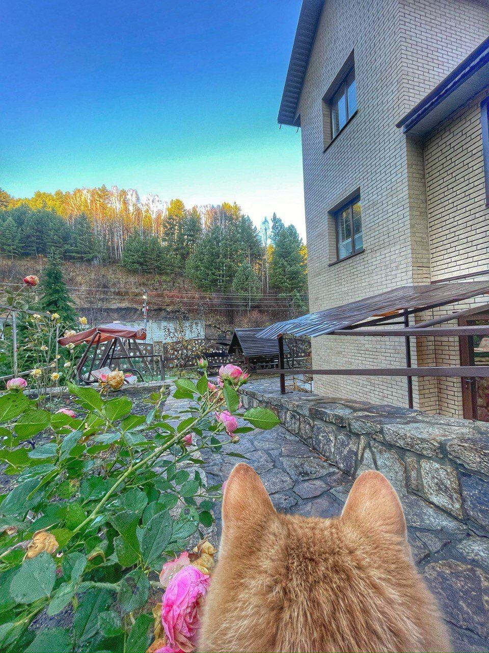 Фото Радевичи