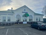 Railway station (rabochy pasiolak Rechyca, Vokzalnaya ulitsa, 6), railway station