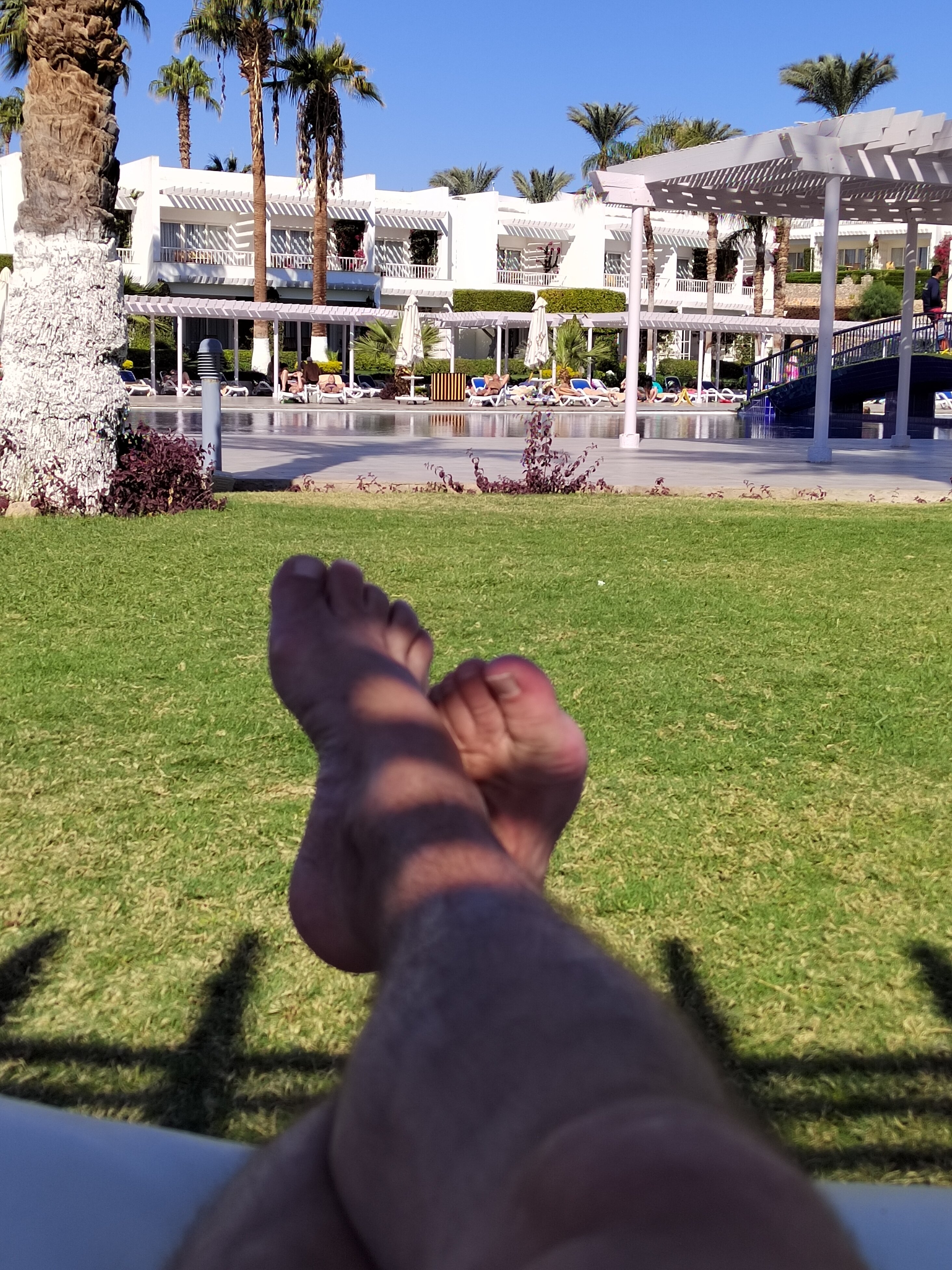 Фото Monte Carlo Sharm Resort & SPA