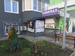 Vasileva Style (ulitsa imeni Geroya Sovetskogo Soyuza Yakova Kobzarya, 3), haberdashery and accessories shop
