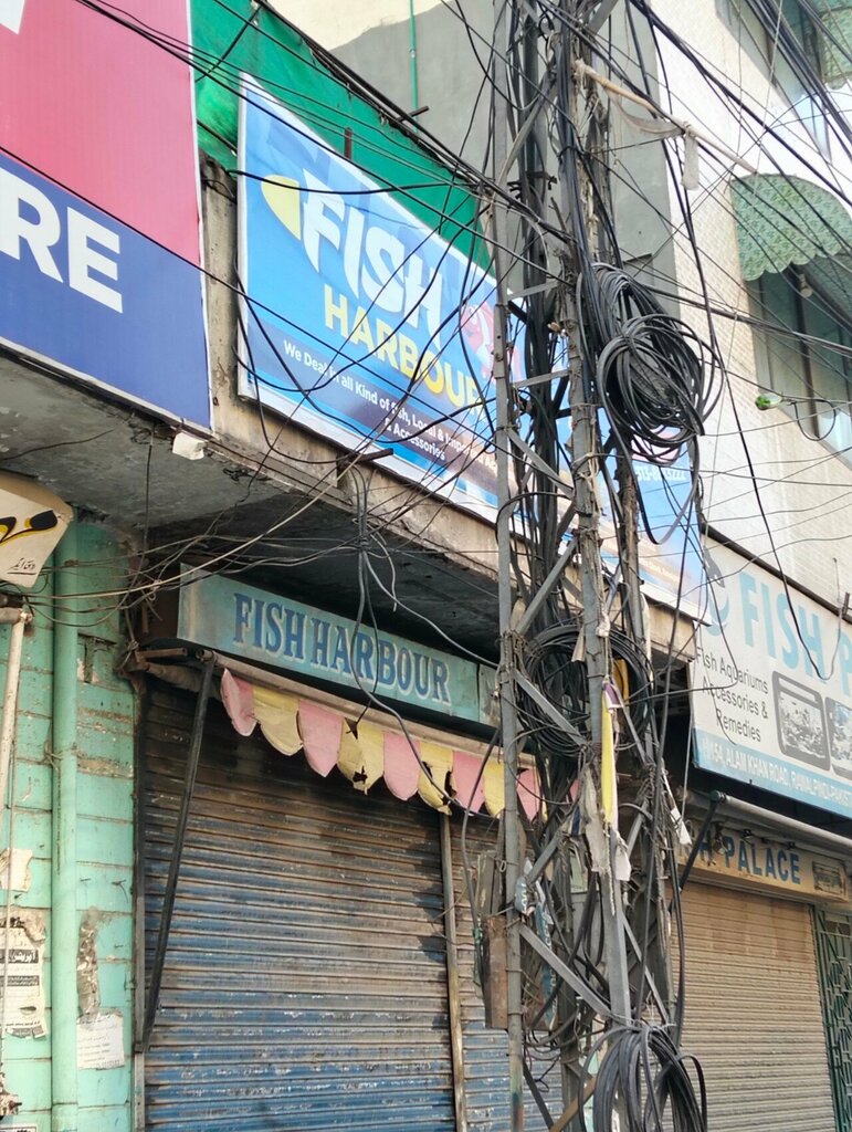Butcher shop Fish Harbor, Rawalpindi, photo