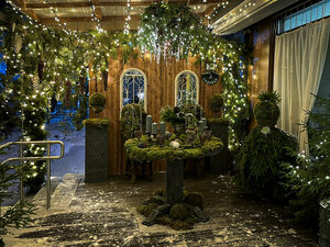 Гостиница Botanica	