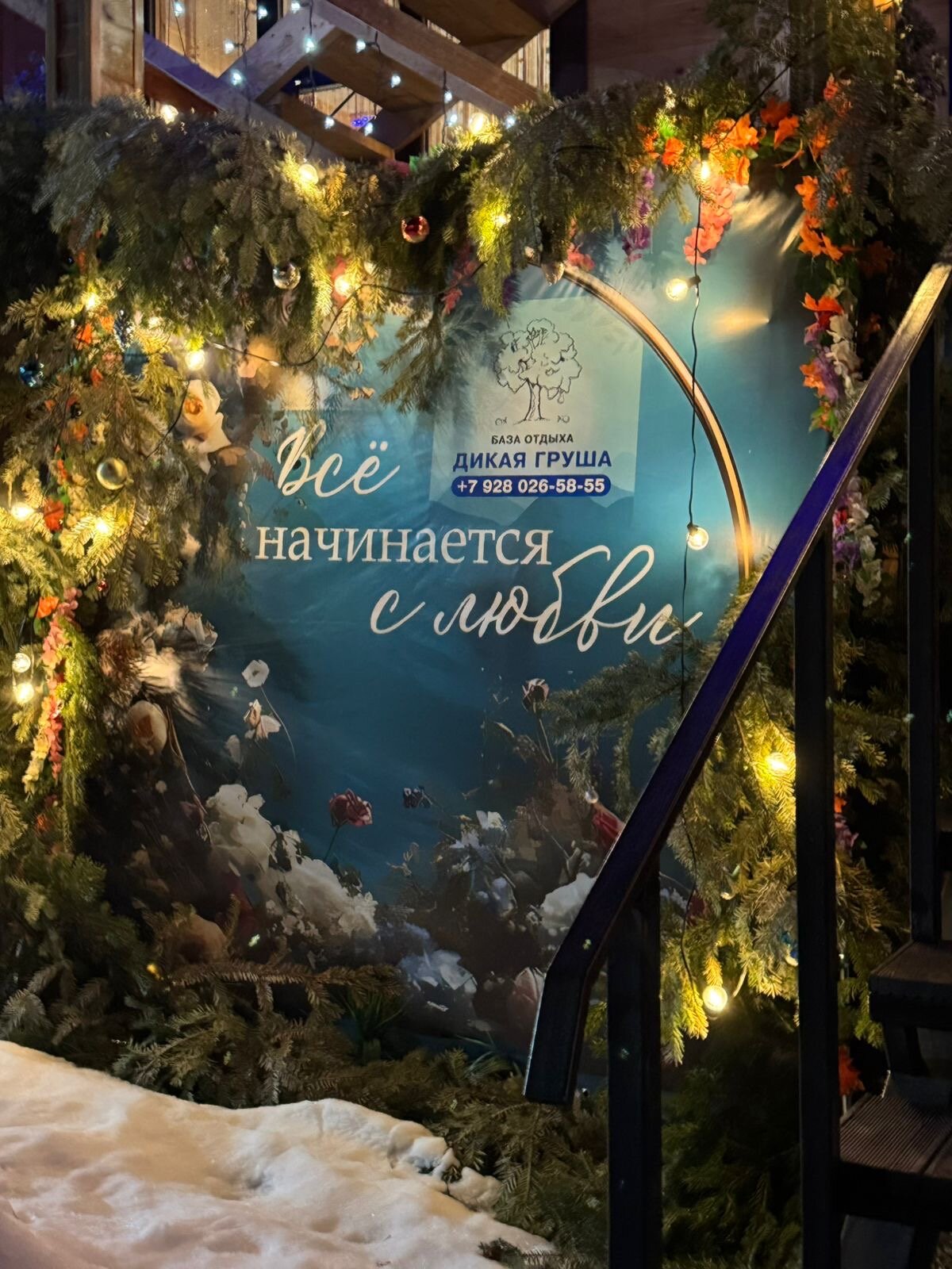 Фото Дикая груша