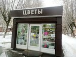 Floradisain (Moscow Region, Fryazino, Institutskaya ulitsa) ، محل زهور