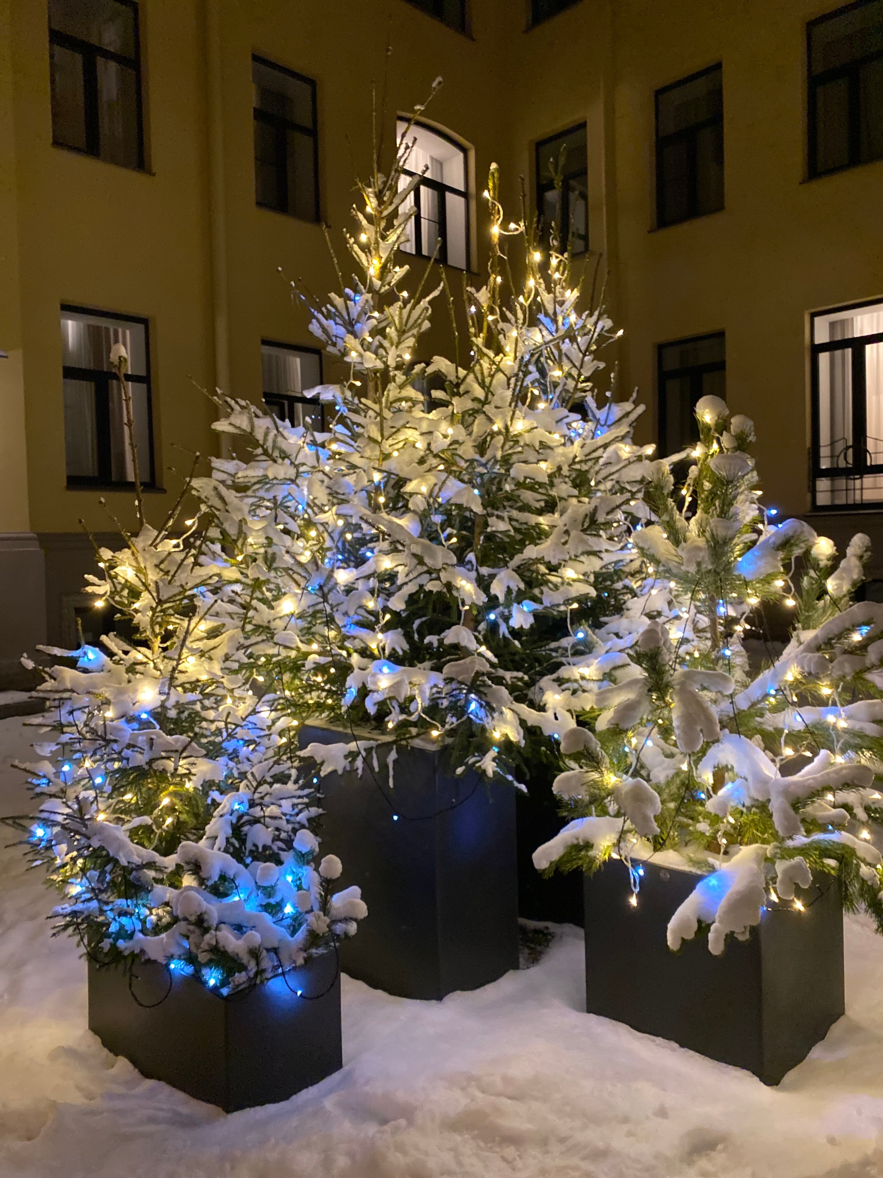 Фото Hovard Club