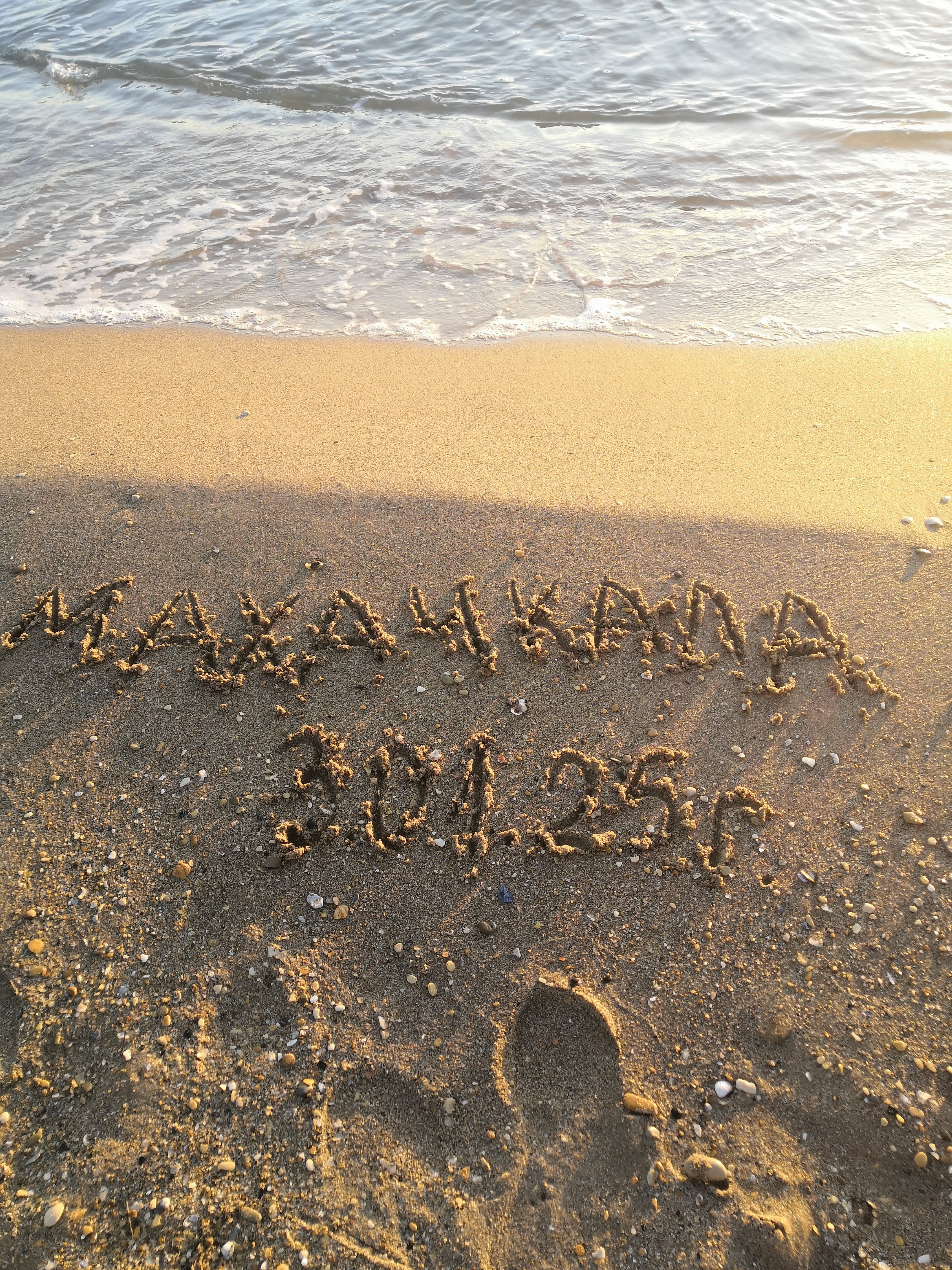 Фото Фламинго