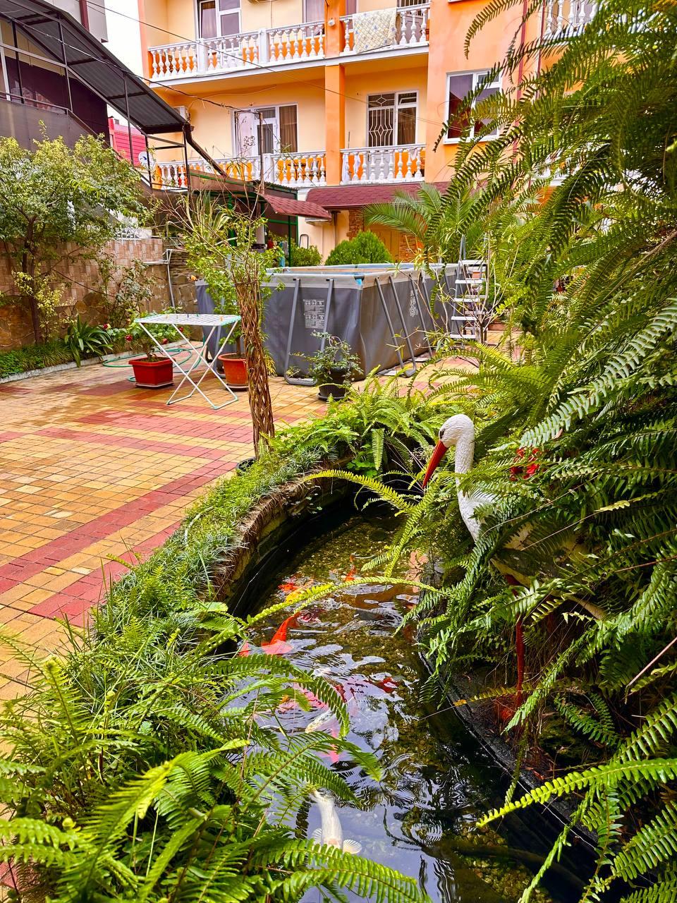 Фото Белый парус