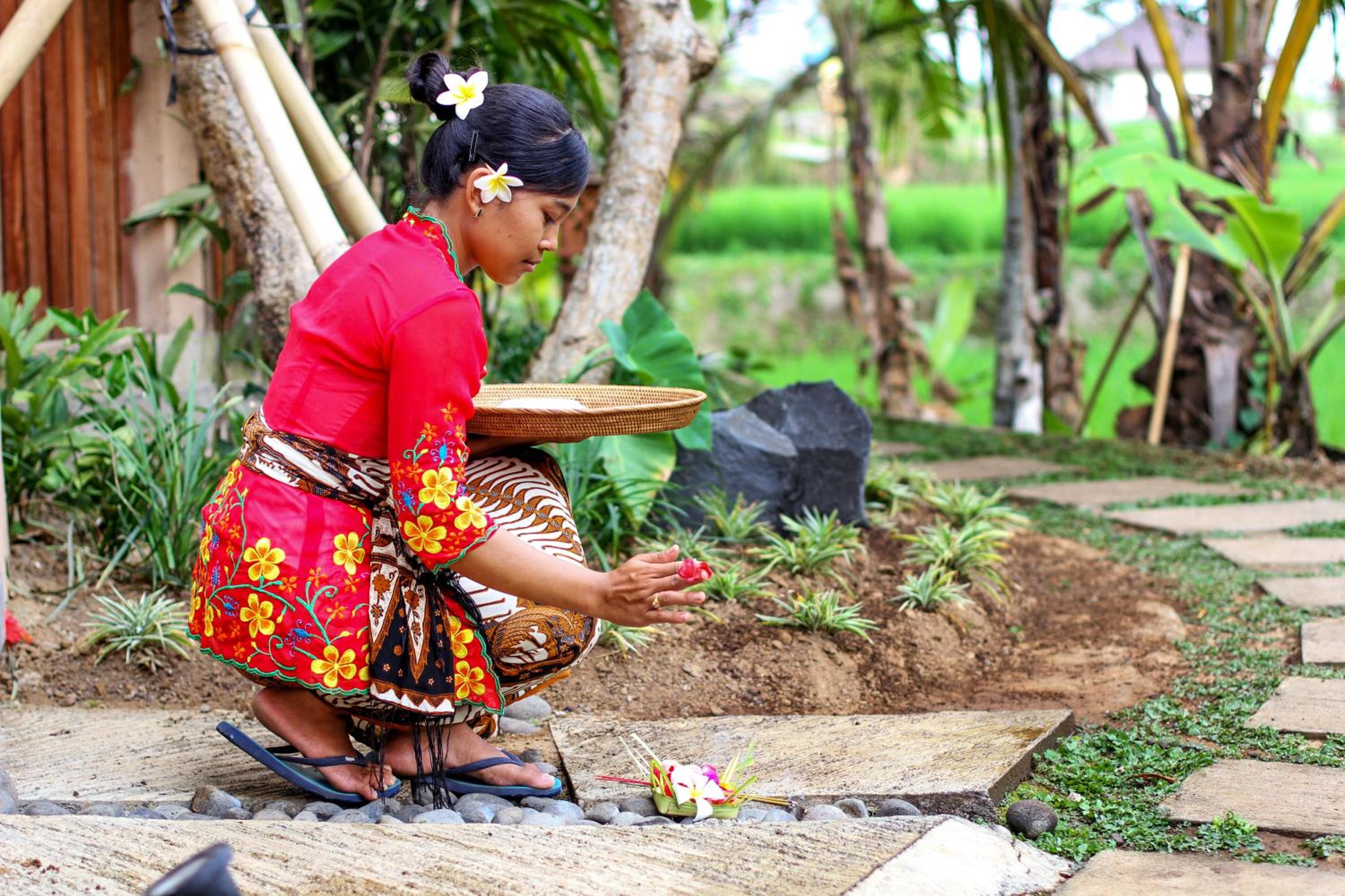 Фото Ubud Luwih Villa