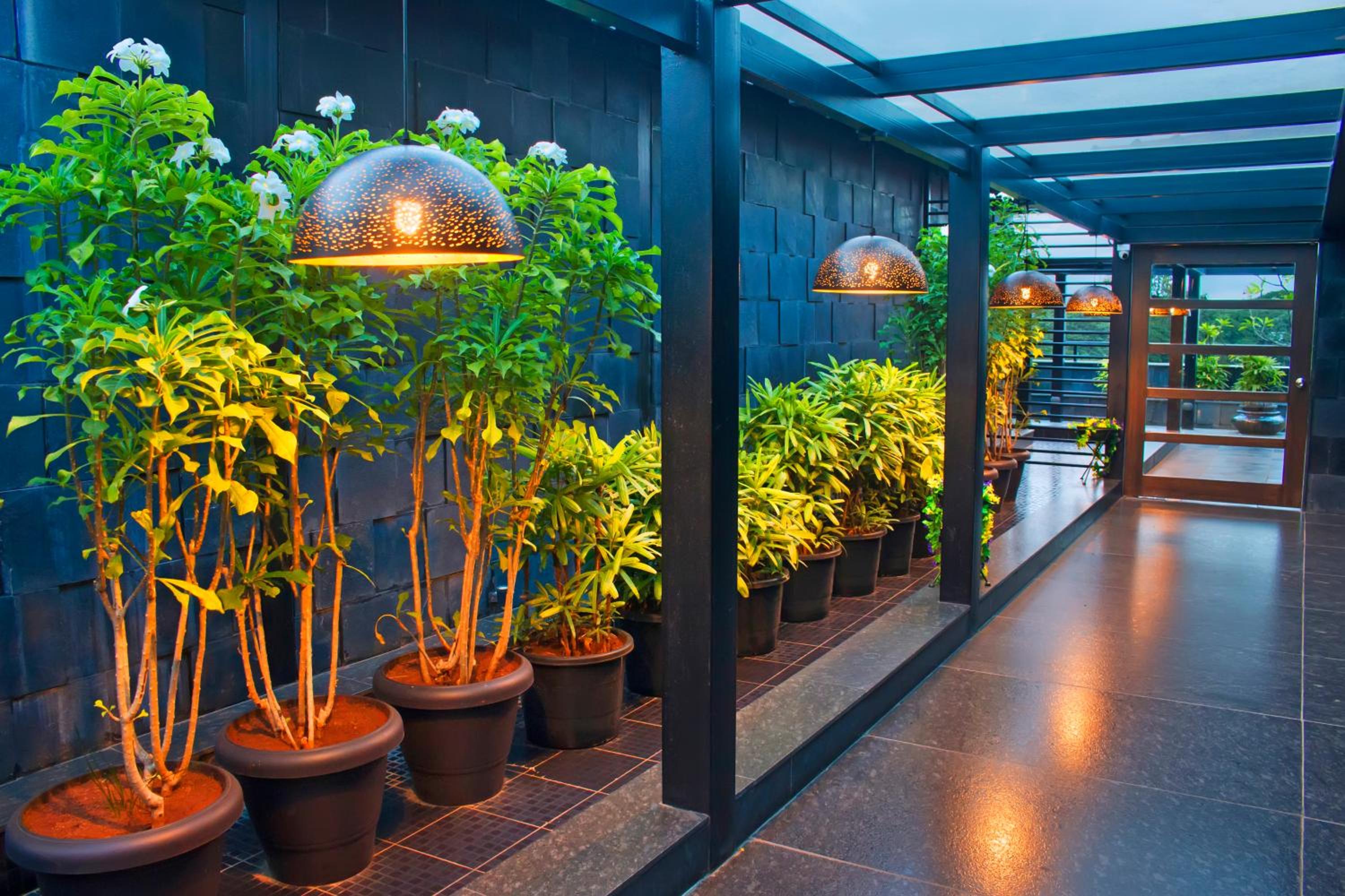 Фото Hotel The President