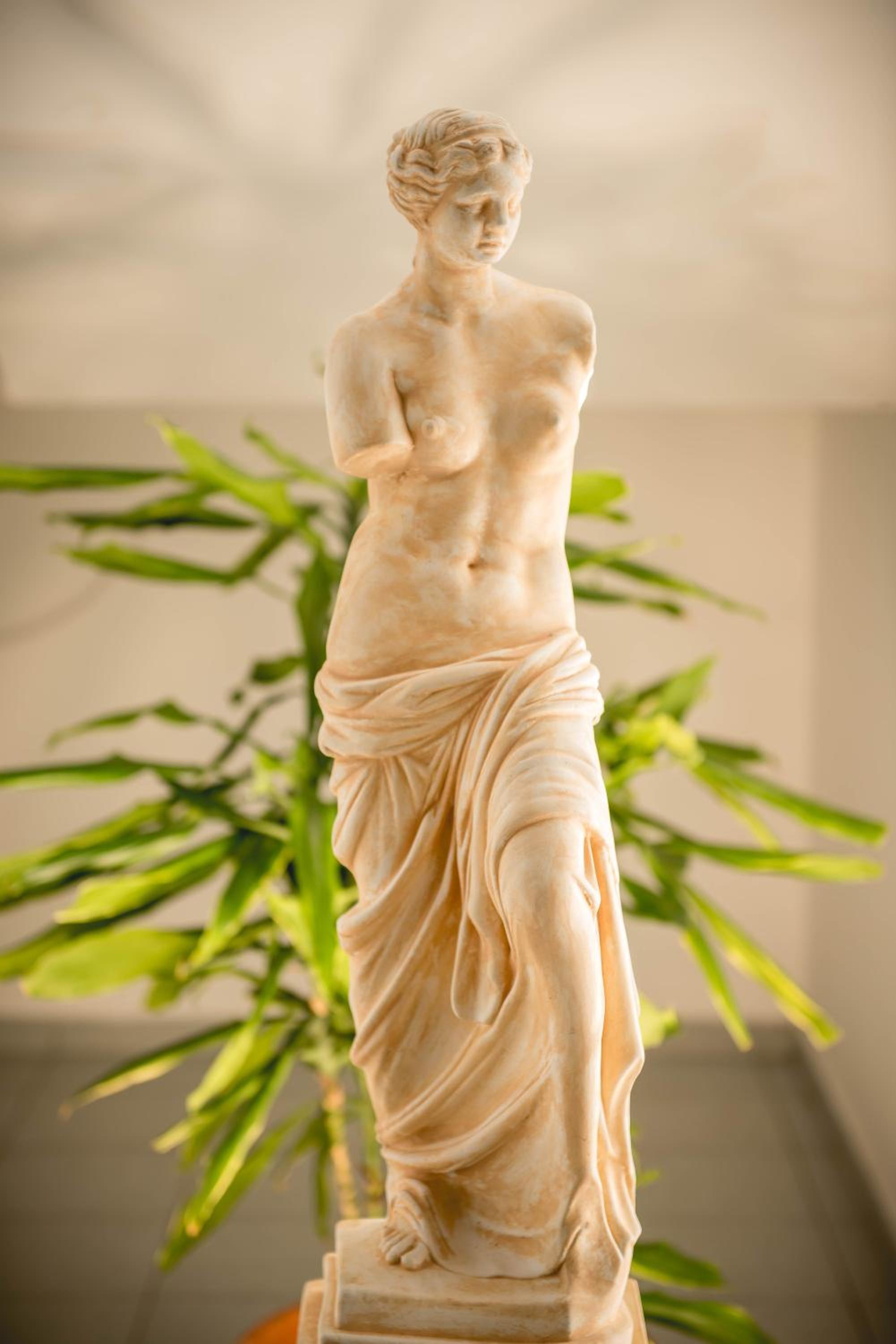 Фото Pantheon Deluxe Apartments