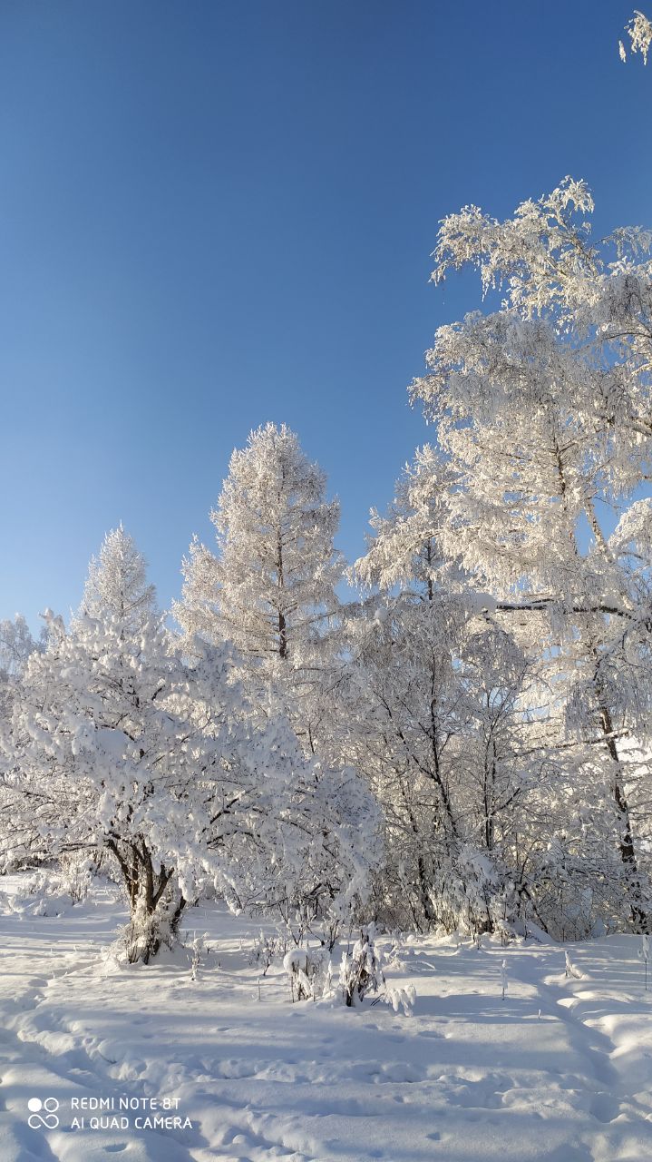 Фото Уймонская Жемчужина