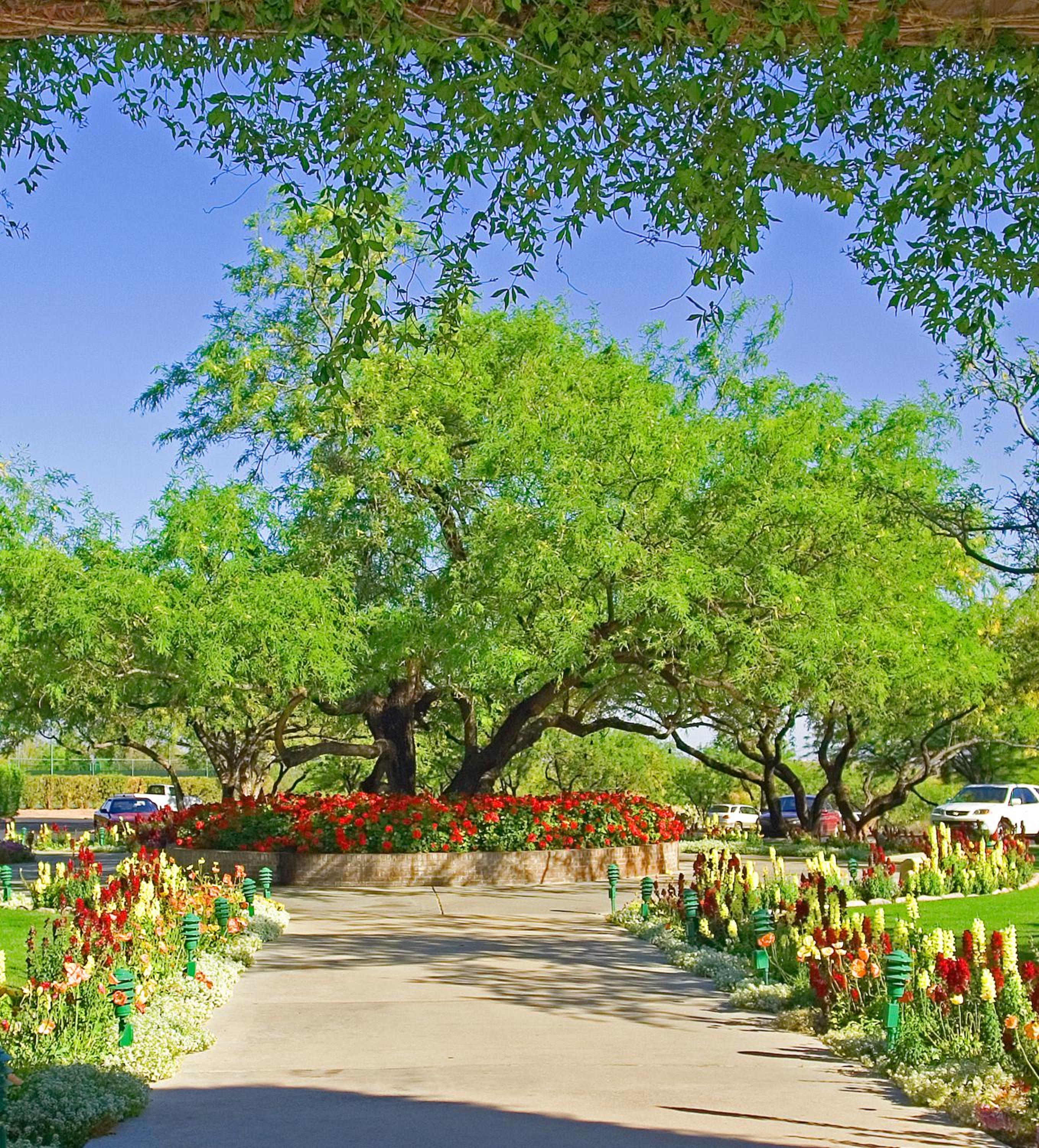 Фото The Lodge at Ventana Canyon