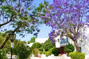 Гостиница Paphos Gardens Holiday Resort