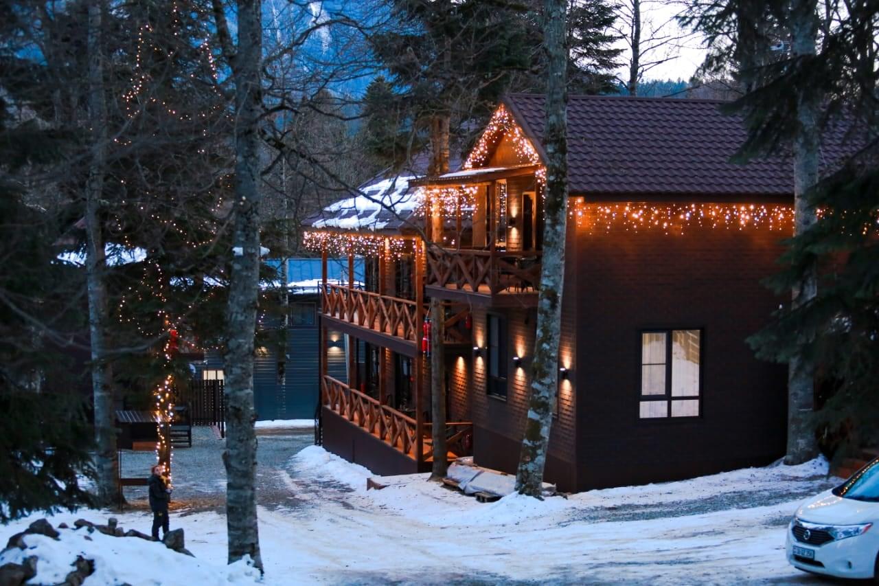 Фото Дубрава