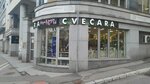 Cvećara Pepeljugin Vrt (Dimitrija Tucovica Street, 28B), flower shop