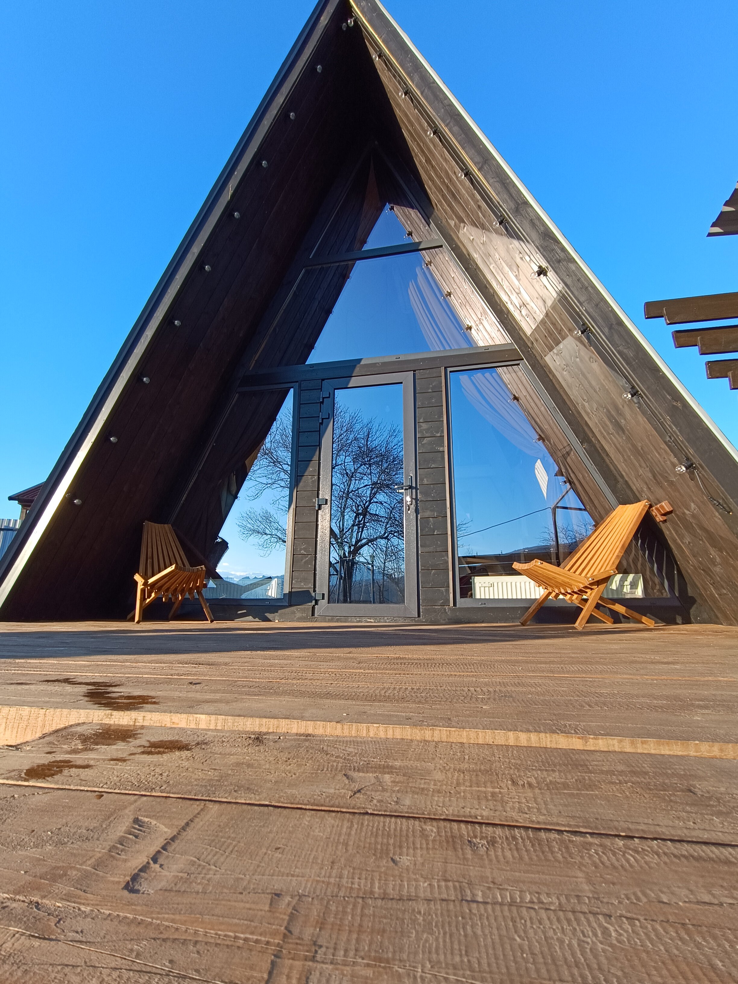 Фото Feshin Forest