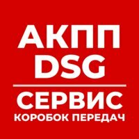 Akpp-dsg-service