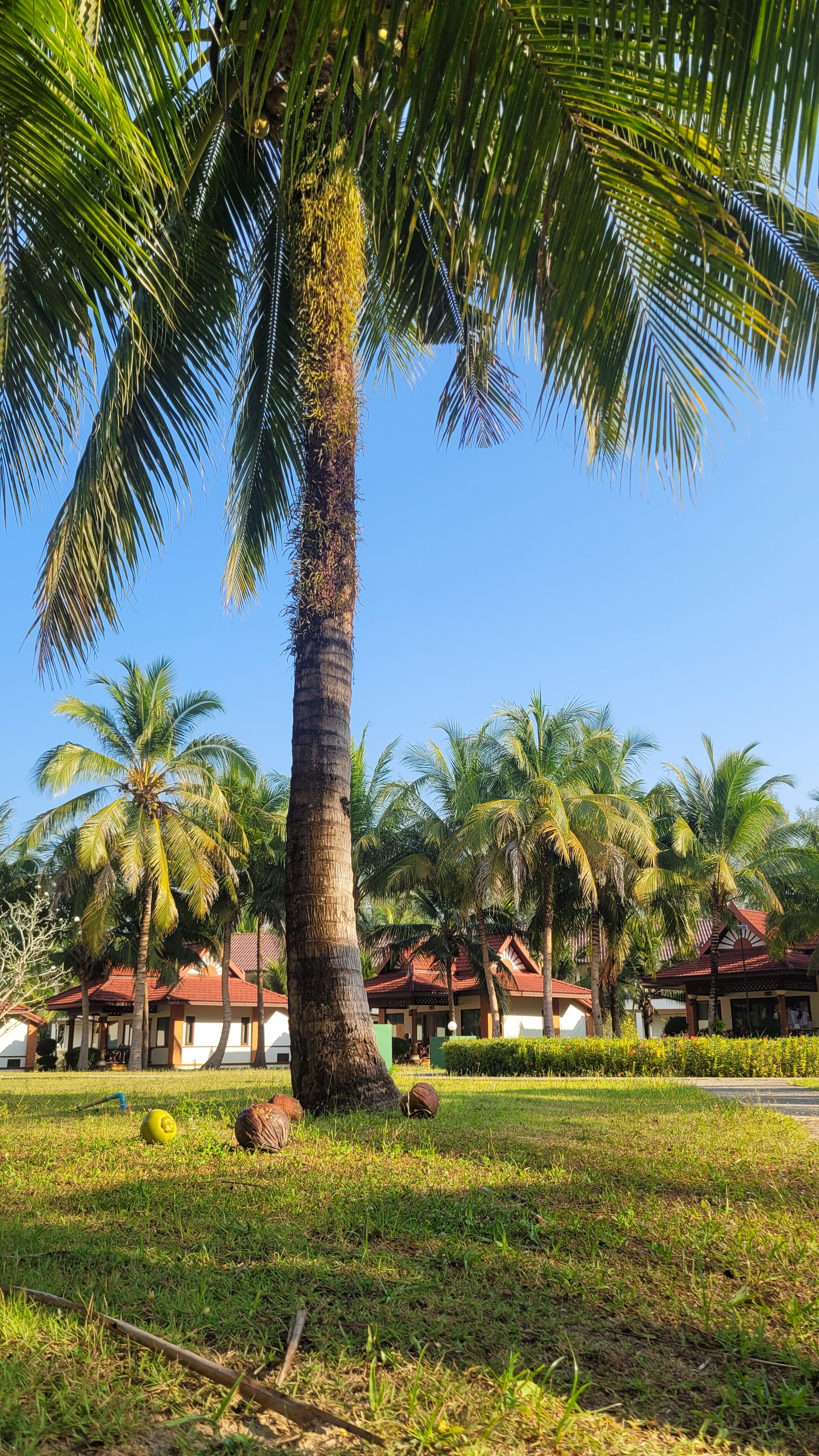 Фото The Sunset Beach Resort Koh Kho Khao