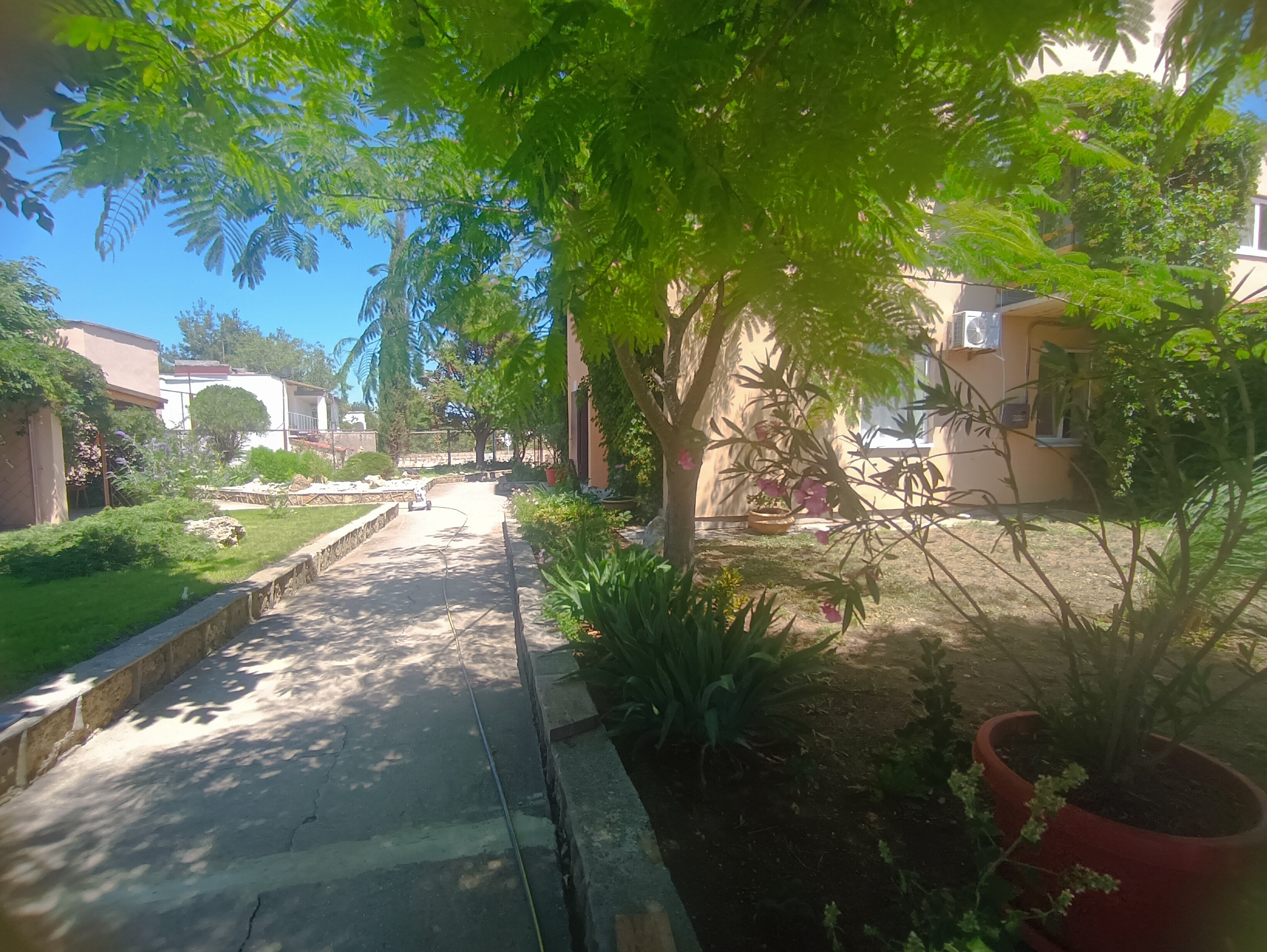 Фото Катран