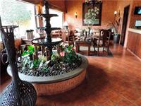 Фото Villas Layfer familia y vacaciones Cordoba Veracruz Mexico