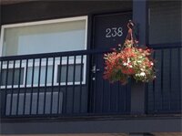 Фото Centro Motel