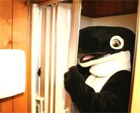 Фото The Orca Inn