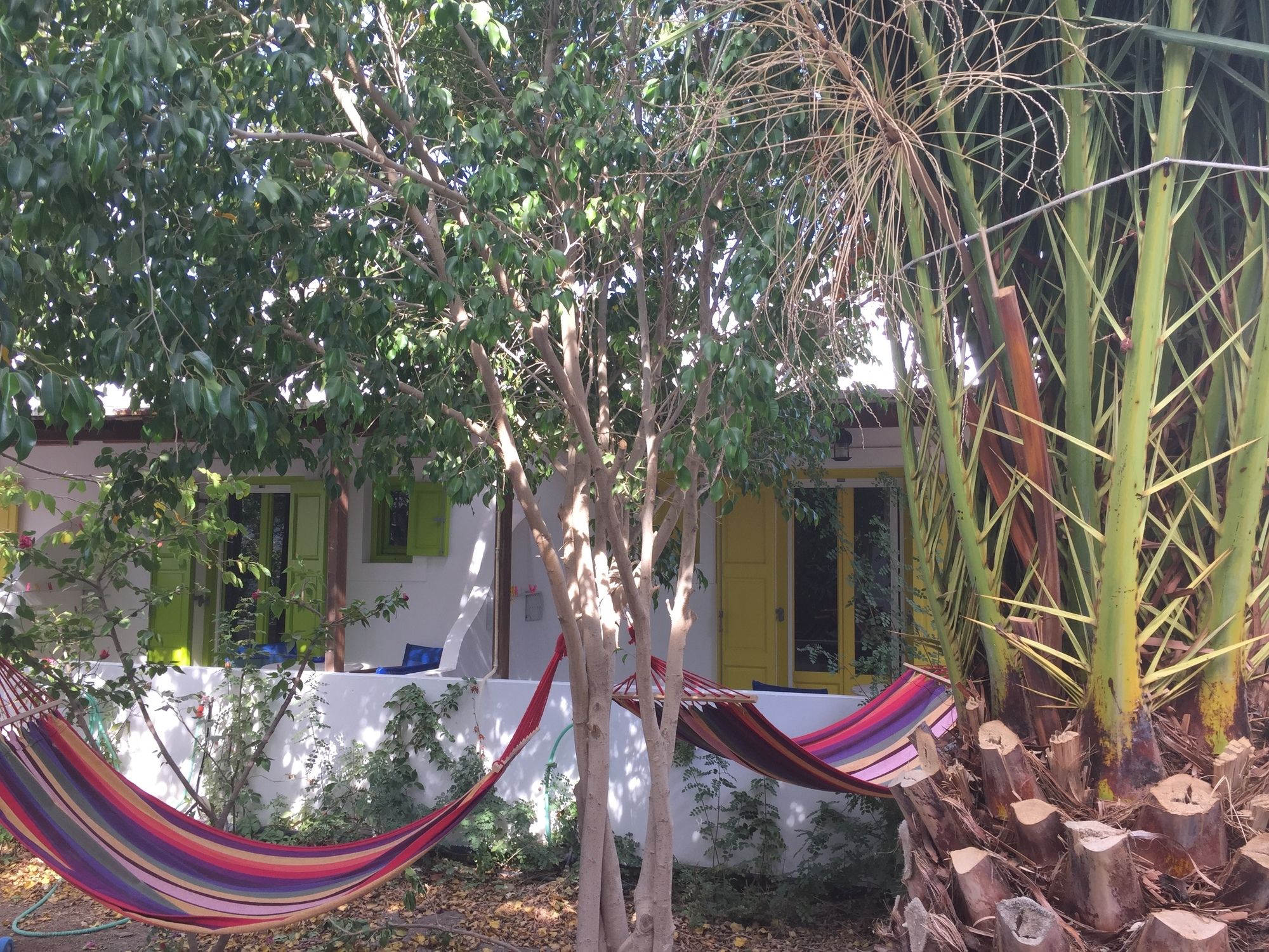 Фото Gerani Studios