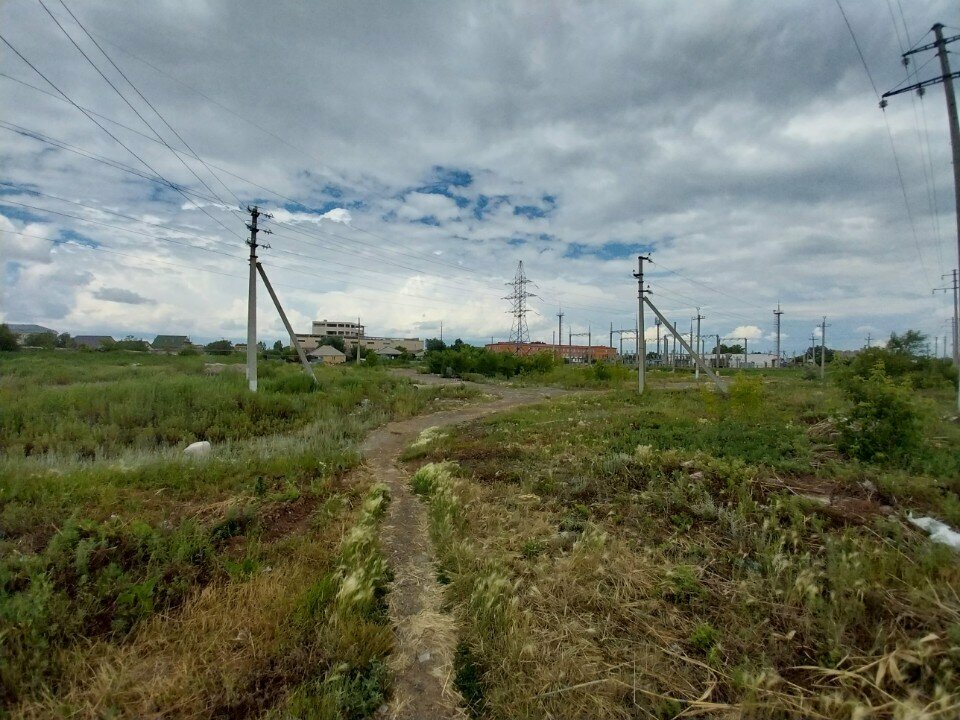 Fish and seafood Fresh fish, Astana, photo