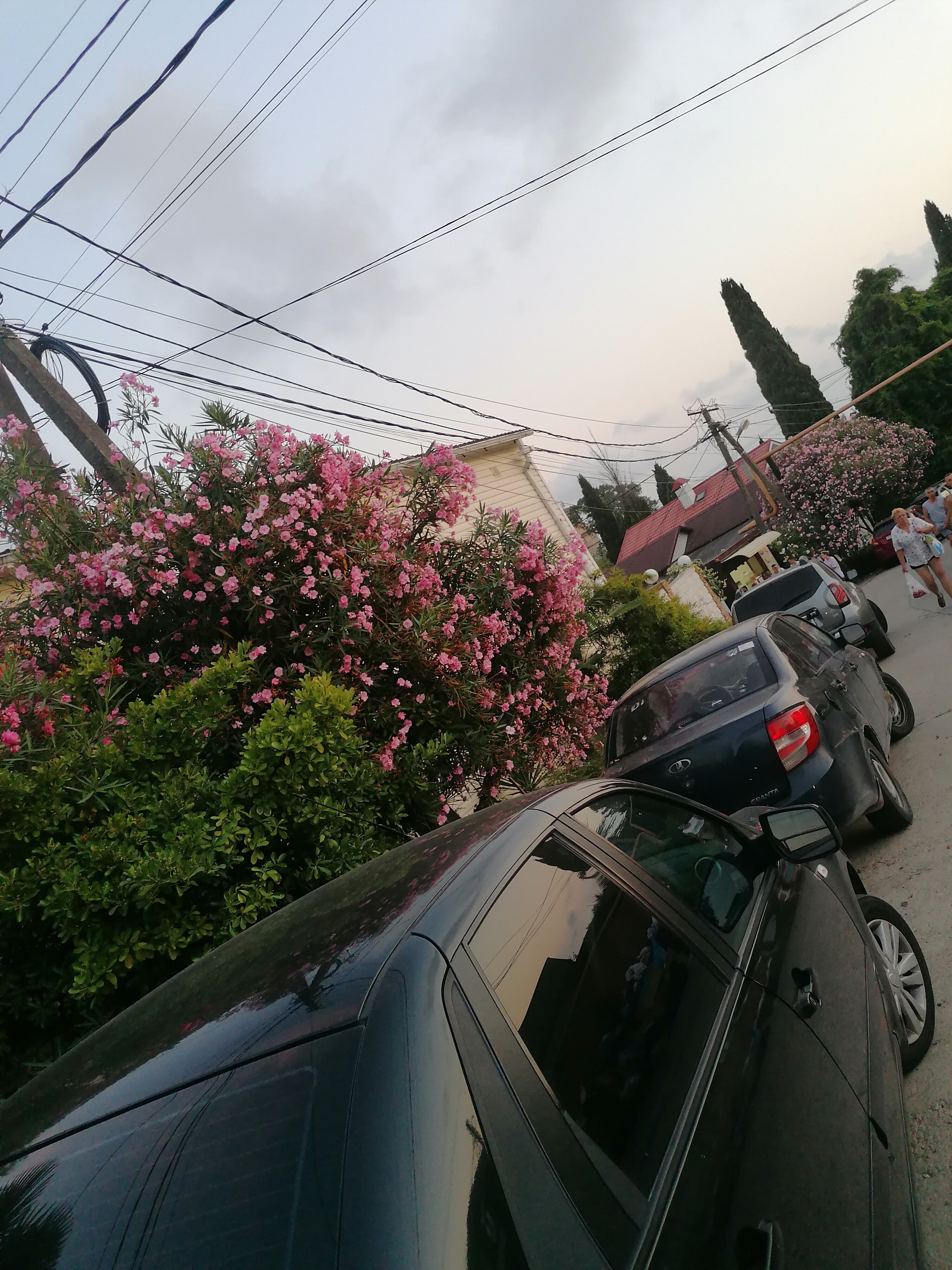 Фото Эвелина