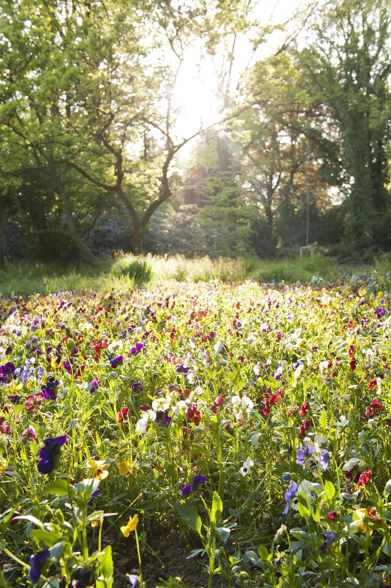 Фото Mercure Parkhotel Mönchengladbach