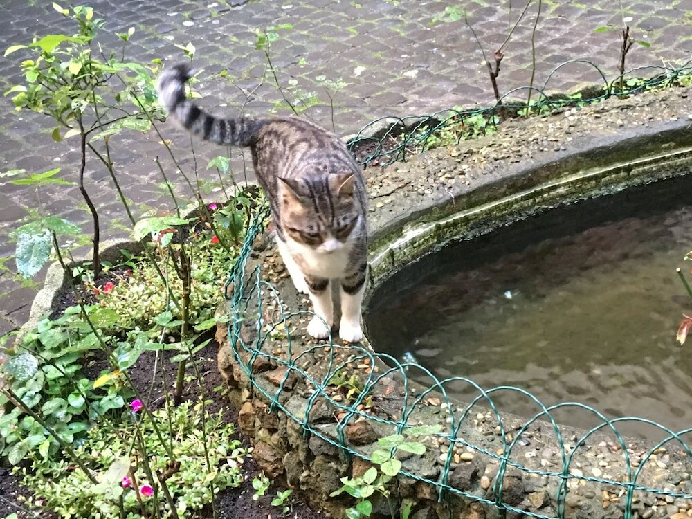 Фото Guest House La Casa Di Amy