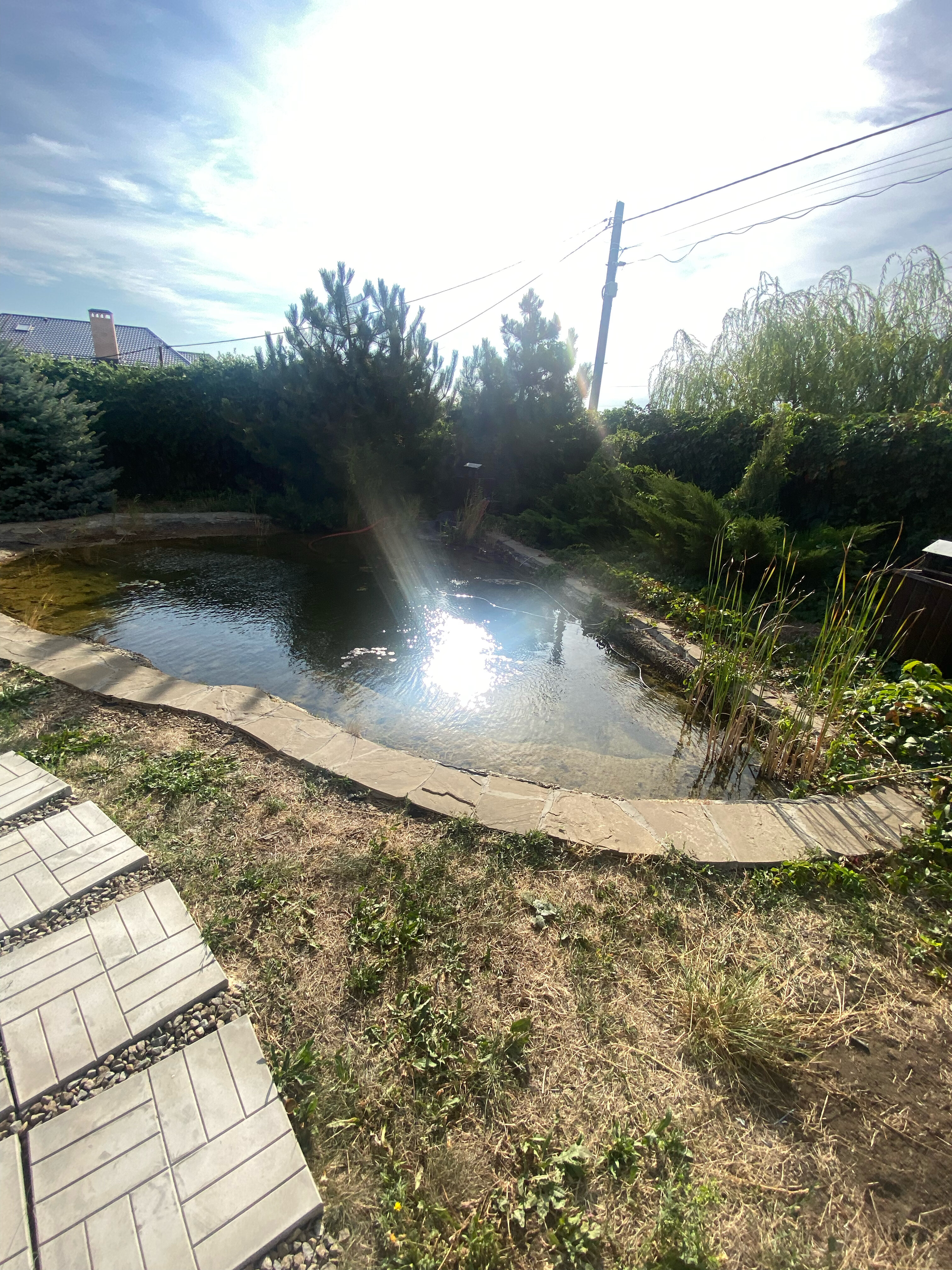 Фото Мишкина Дача