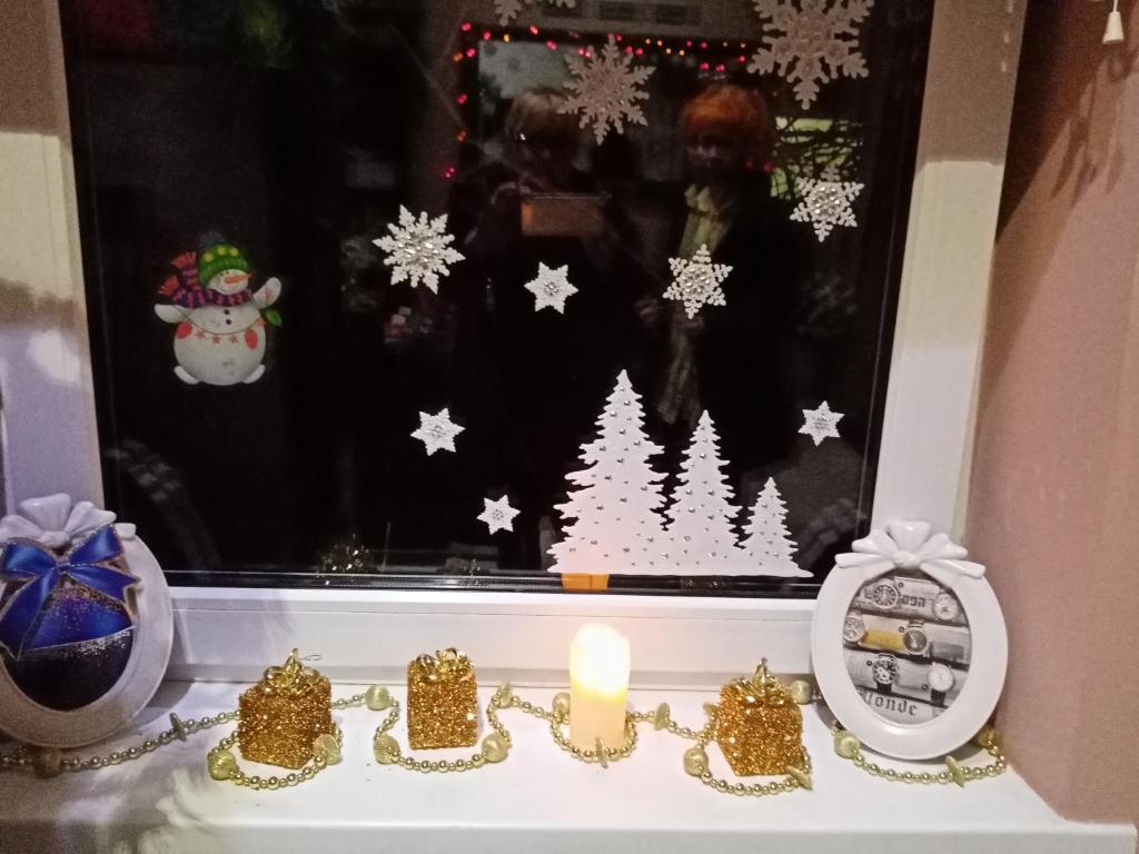 Фото Абрикос