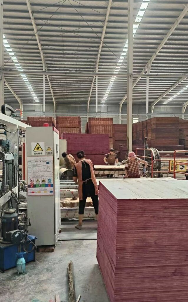 Construction company Suliter International Building Materials Trading, Dubai, photo