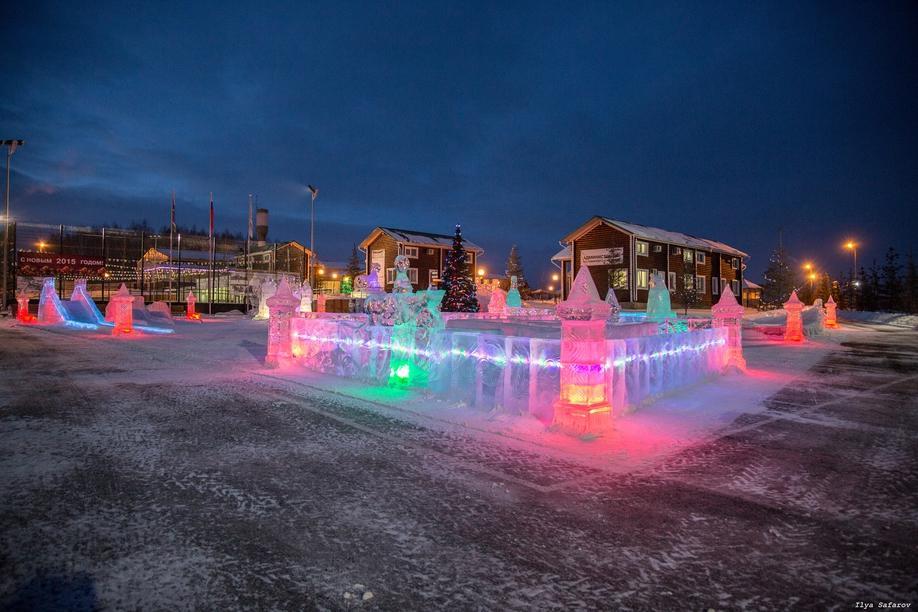 Фото Белая лошадь