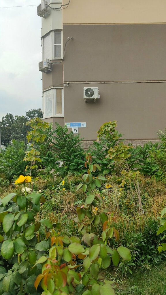 Courses and master classes Студия кондитерских мастер-классов, Krasnodar, photo