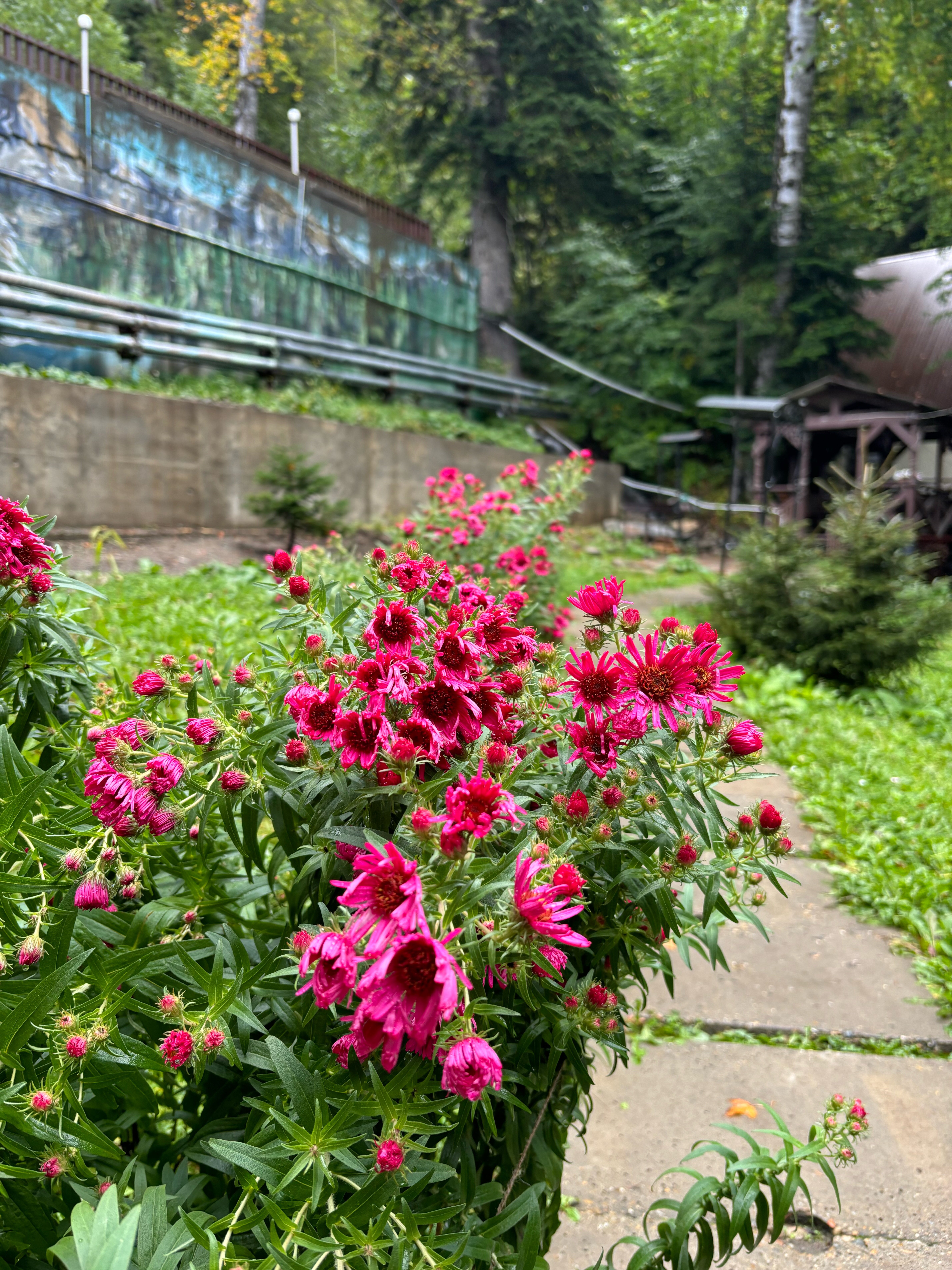 Фото Наступ