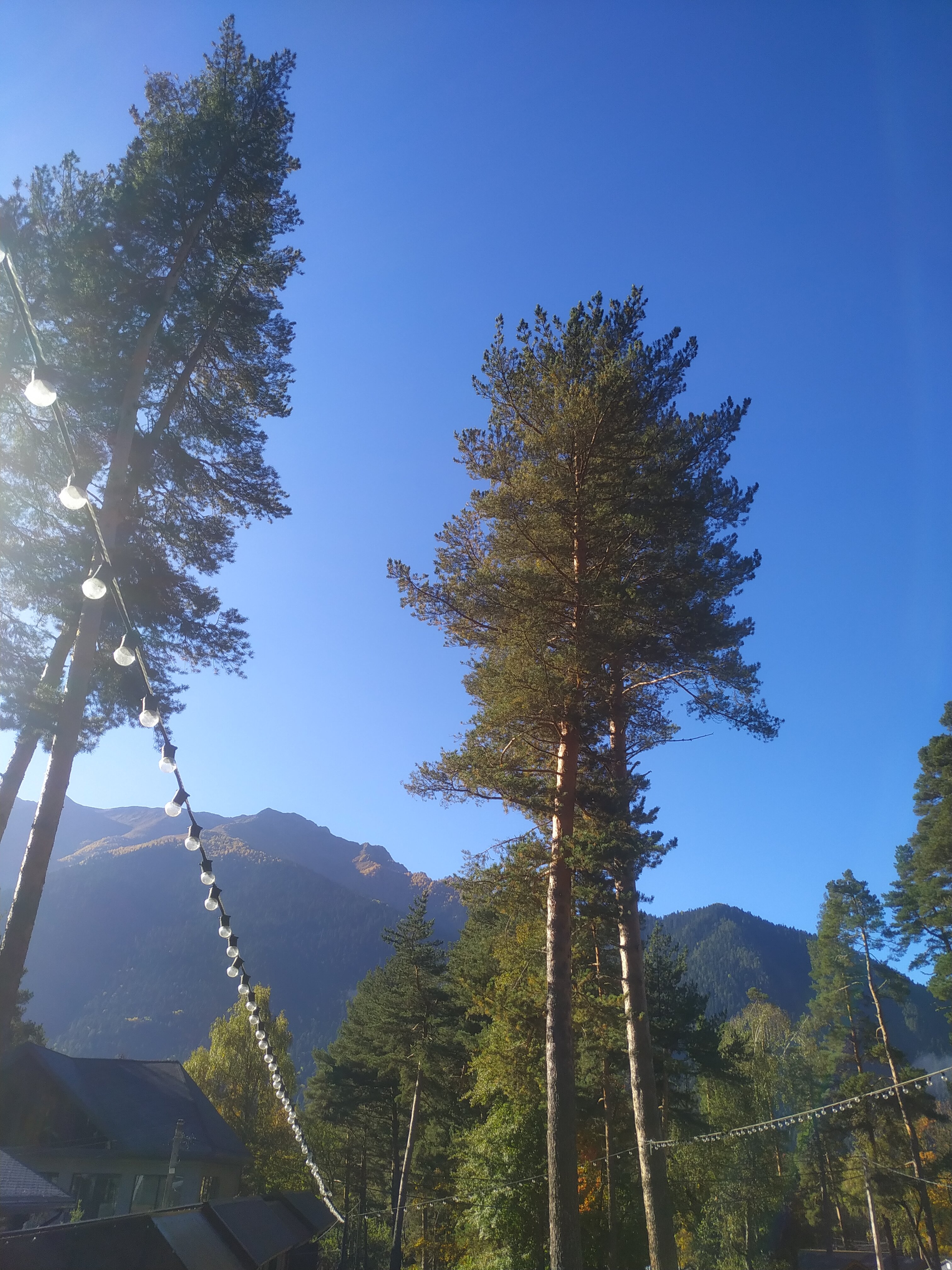 Фото Сосновка