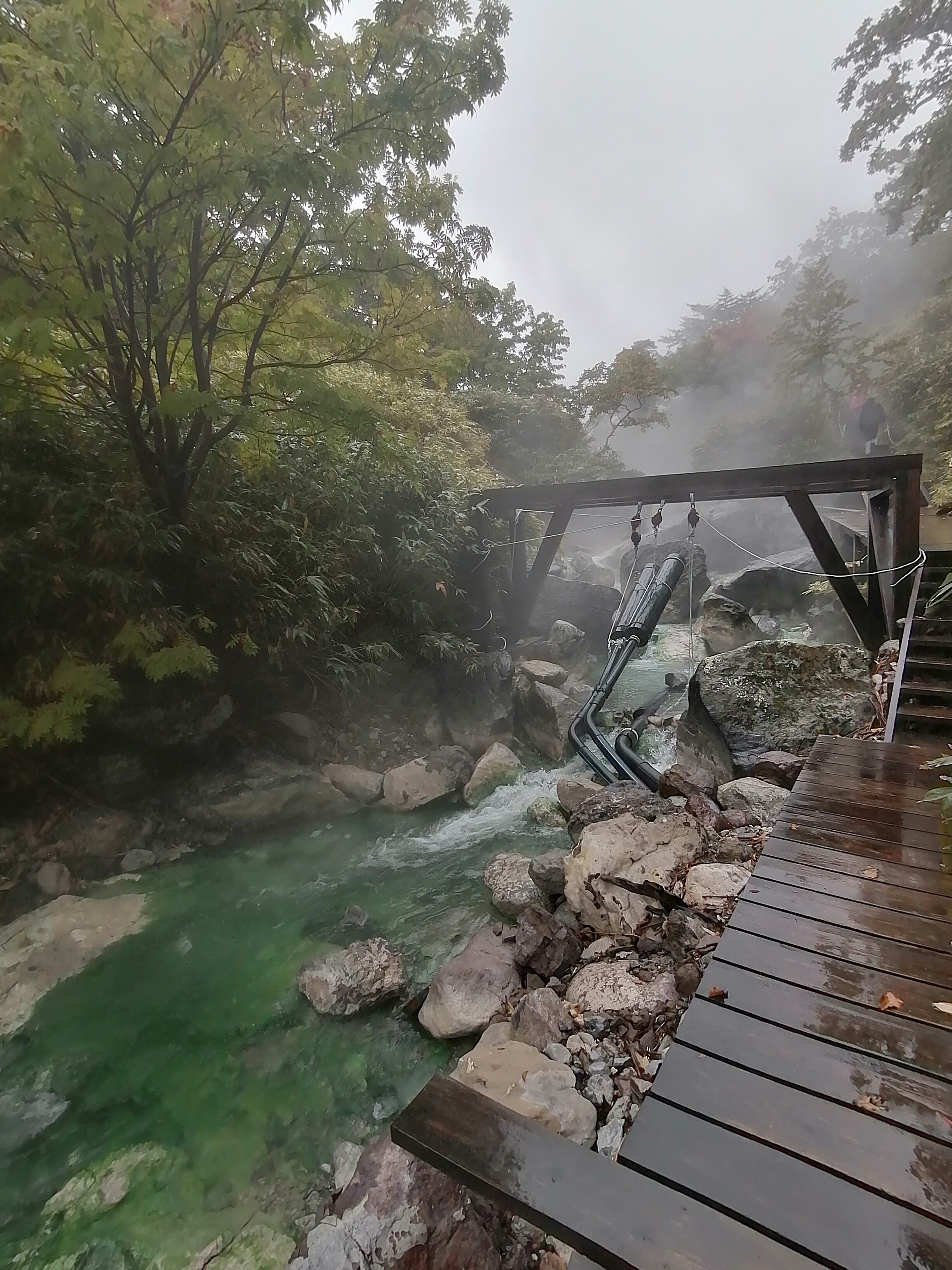 Фото Юность