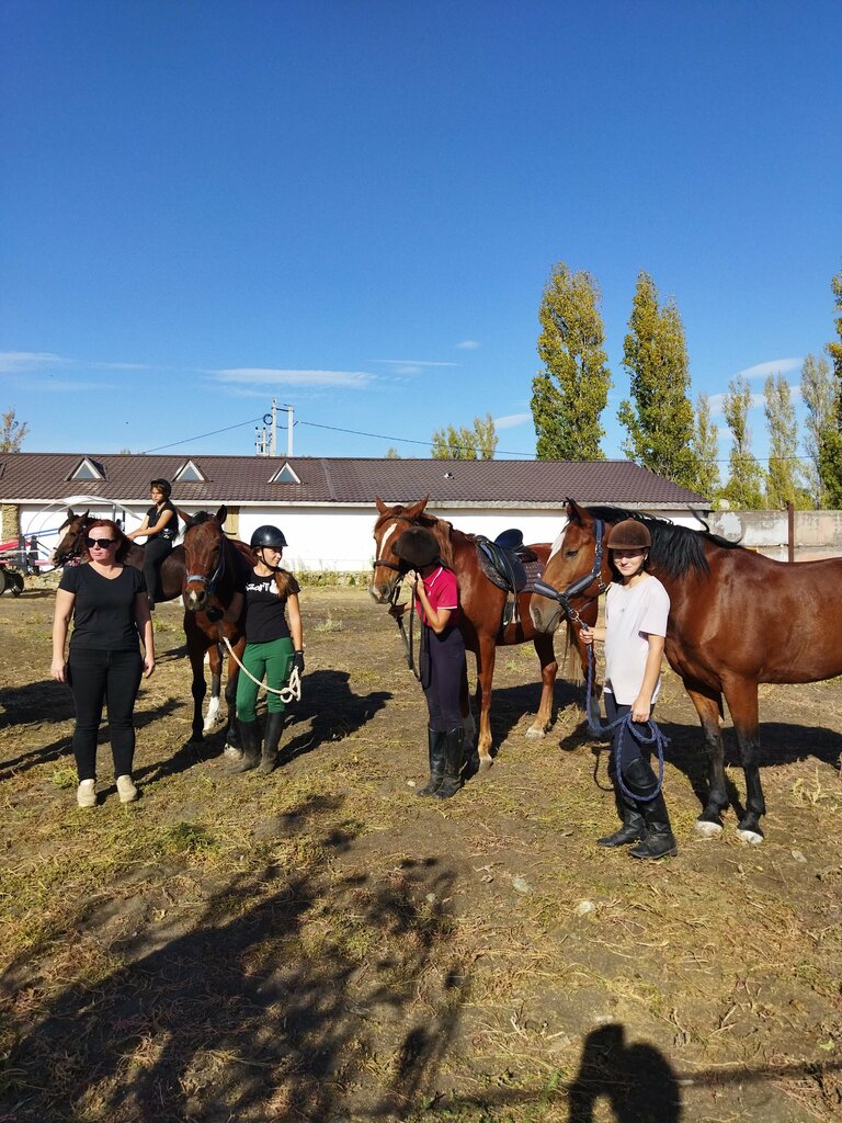 ركوب الخيل Konno-ozdorovitelny klub Golden Horse ، ، صورة