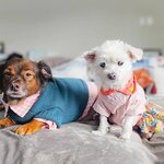 Nautica Türkiye (Diyarbakır, Yenişehir, Fabrika Mah., 762. Sok., 3), clothing store