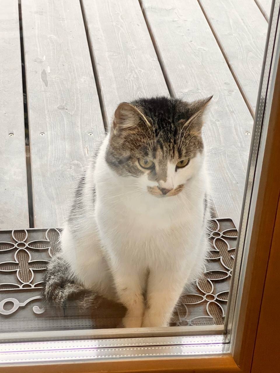 Фото Teplo House