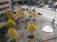 Фото Escale Hotel