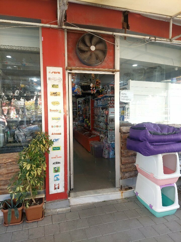 Pet shop Mınık Dostlar Petshop, Adana, photo