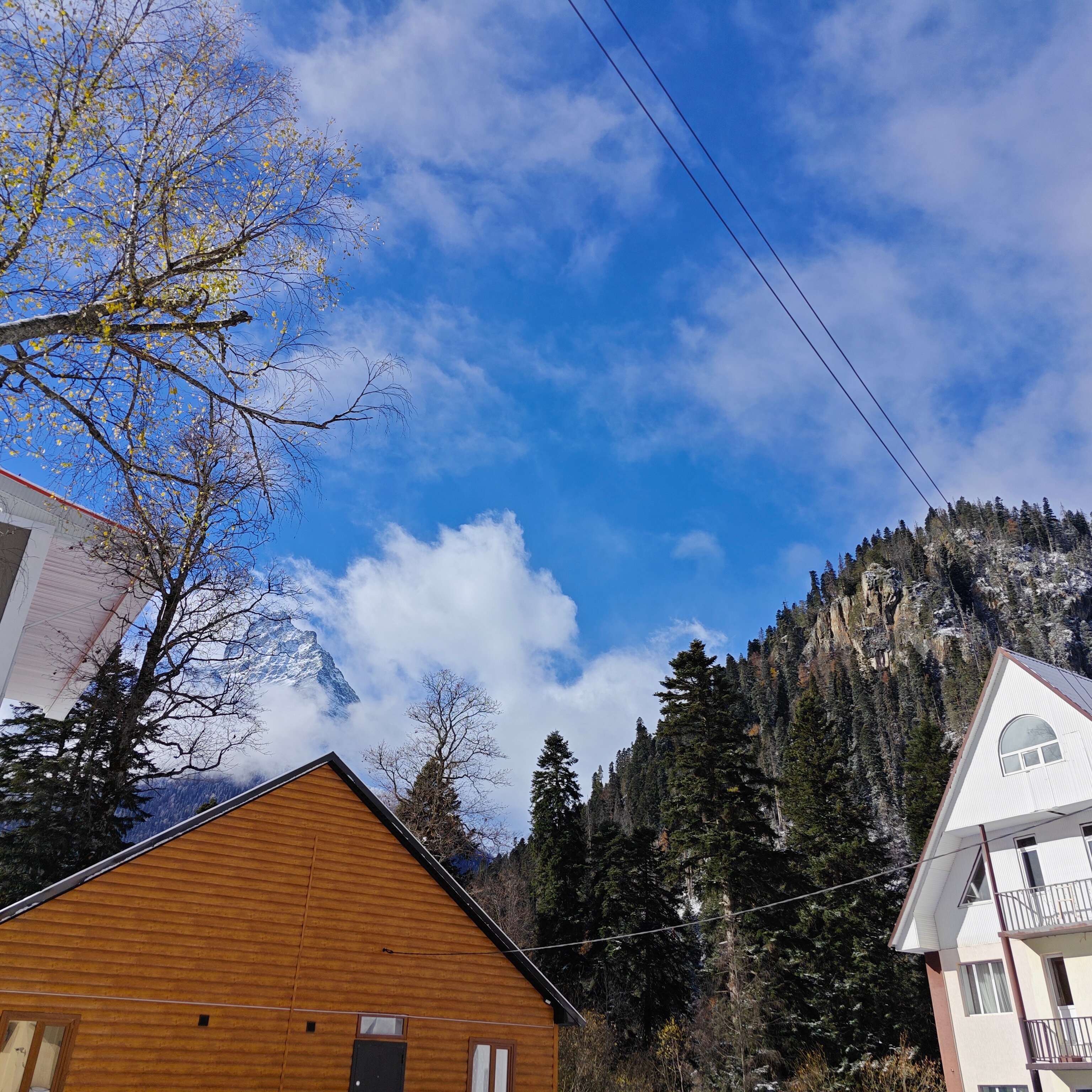 Фото Дубки Snow Point